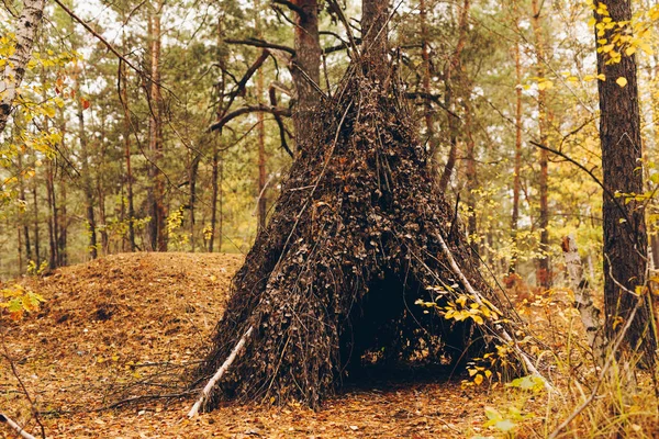 Handmade Hut Forest — Stock Photo, Image