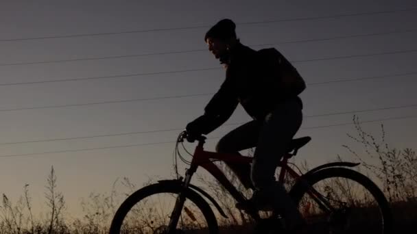 Woman riding bicycle at sunset — Stock Video