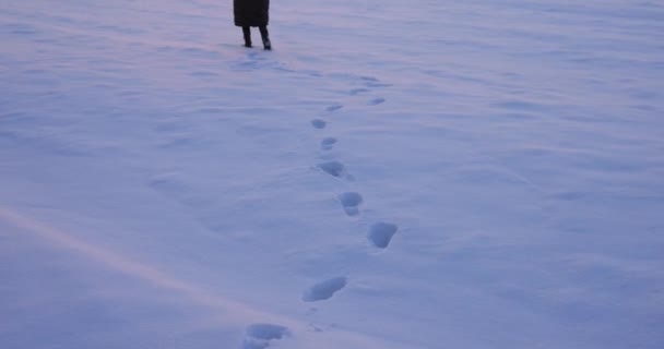 Kobieta odchodzi na śniegu w śnieżnej Arktyce — Wideo stockowe