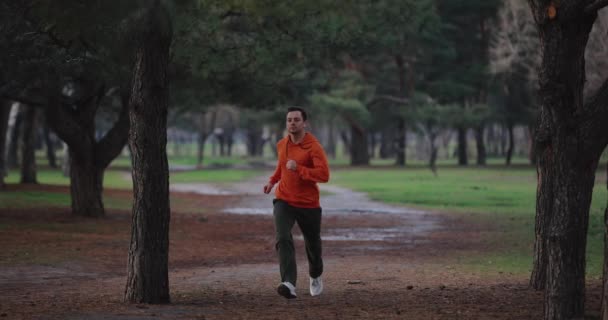 Un hombre corriendo, corriendo en un parque, en cámara lenta — Vídeos de Stock