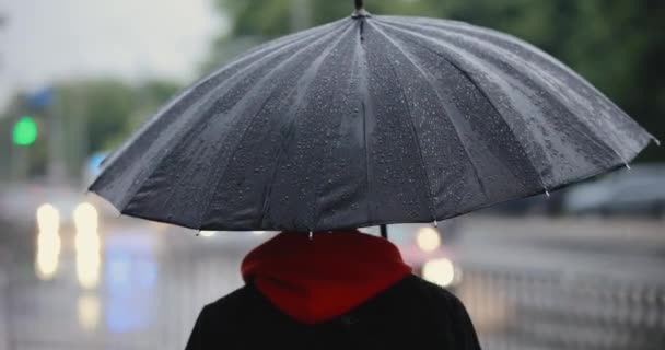 Homem irreconhecível andando na cidade sob guarda-chuva — Vídeo de Stock