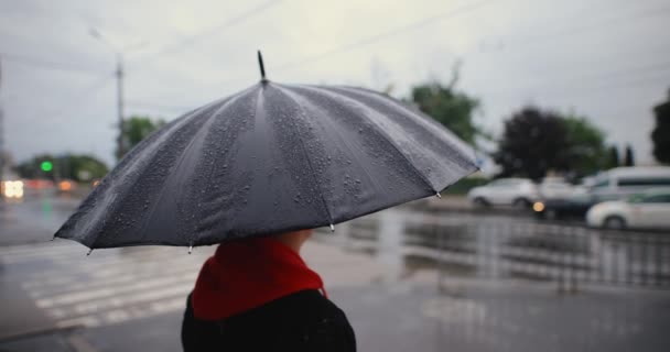 Hombre irreconocible caminando en la ciudad bajo el paraguas — Vídeos de Stock