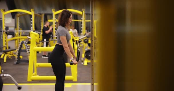 Mujer hacer tríceps en el ejercicio de bloque — Vídeos de Stock