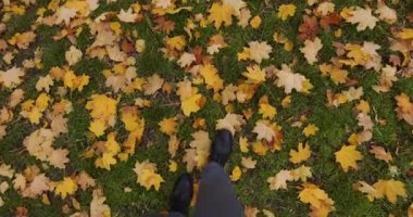 Klasik çizmeli POV erkekleri sonbahar yapraklarında yürürler.