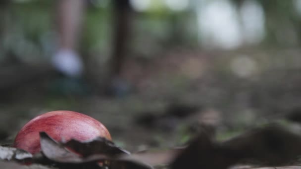 Semiotyka Pojęcia Reklama Symboliczne Wideo Pozostawiając Jabłko Sobą Rezygnacja Korzystania — Wideo stockowe