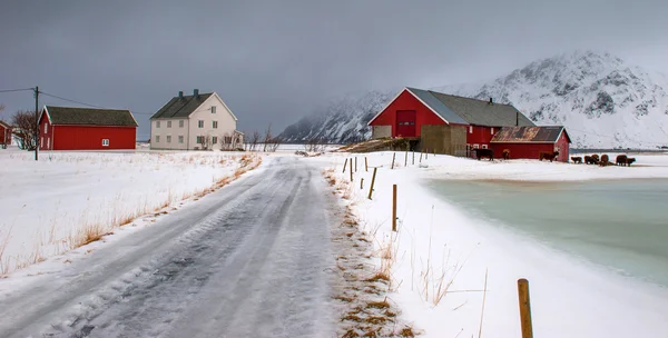 Village Pêcheurs Île Lofoten — Photo