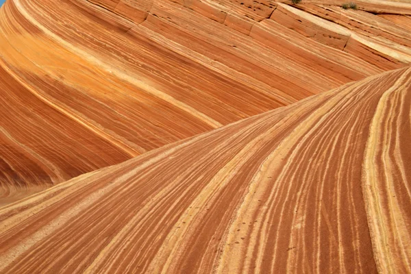 The Wave, Paria Canyon, Arizona — Stock Photo, Image