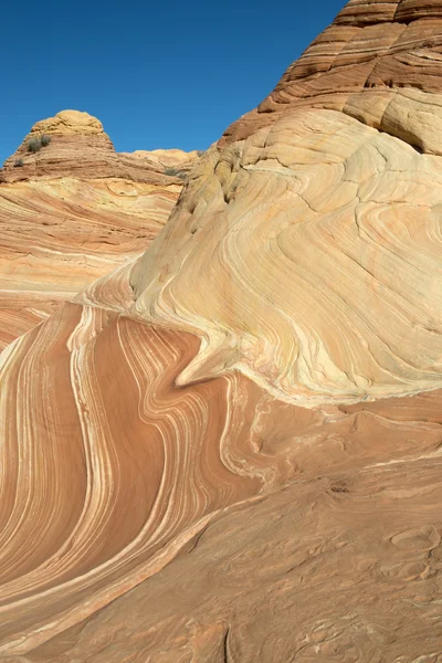 The Wave, Cañón Paria, Arizona —  Fotos de Stock