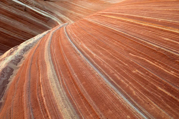 The Wave, Paria Canyon, Arizona — Stock Photo, Image