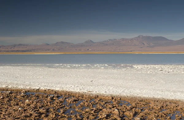 Laguna Cejas — Φωτογραφία Αρχείου