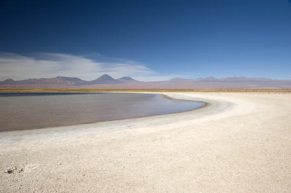 Laguna Cejas — Φωτογραφία Αρχείου