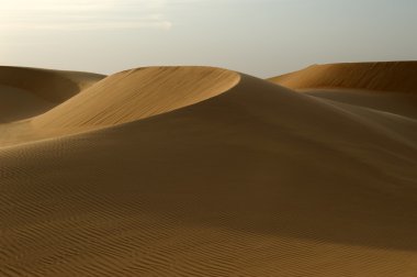 Abu Dabi çöl