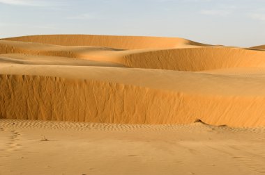 Abu Dabi çöl