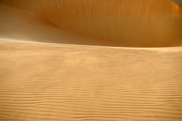 Abu dhabi öknen — Stockfoto