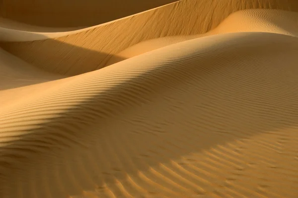 Desierto de Abu Dhabi —  Fotos de Stock