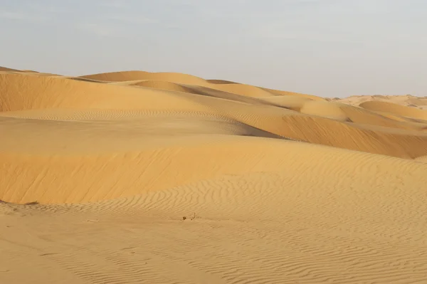 Abu dhabi woestijn — Stockfoto