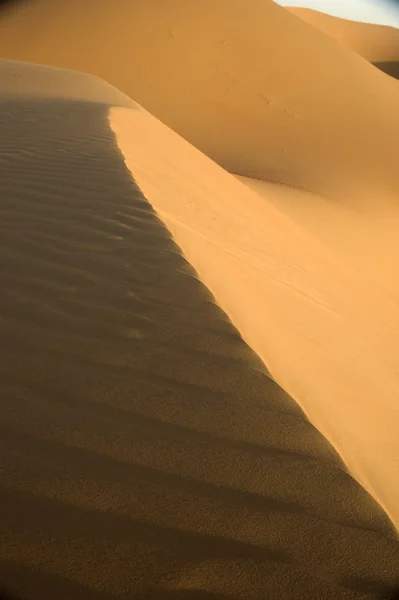 Abu Dhabi Deserto — Foto Stock