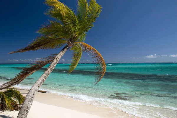 Praia de Shoal Bay — Fotografia de Stock