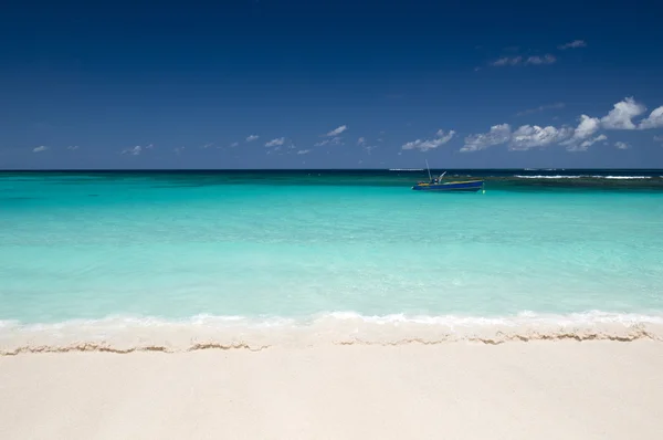 Shoal bay beach — Zdjęcie stockowe