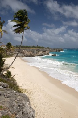 plaj barbados Adası, Karayipler