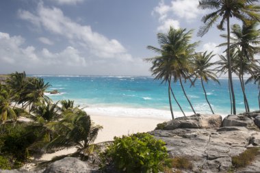 plaj barbados Adası, Karayipler