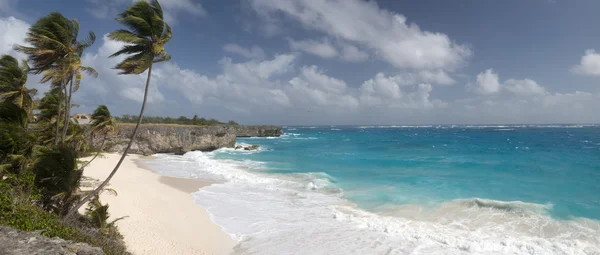 Plaj barbados Adası, Karayipler — Stok fotoğraf