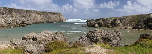 Sahil barbados Adası, Karayipler