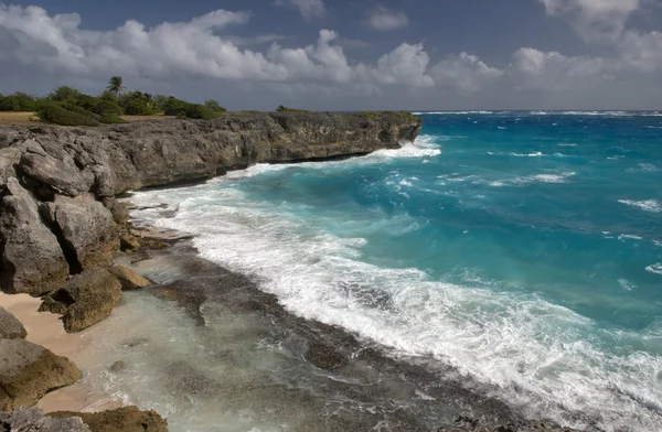 Côte de l'île de Barbade, Caraïbes — Photo