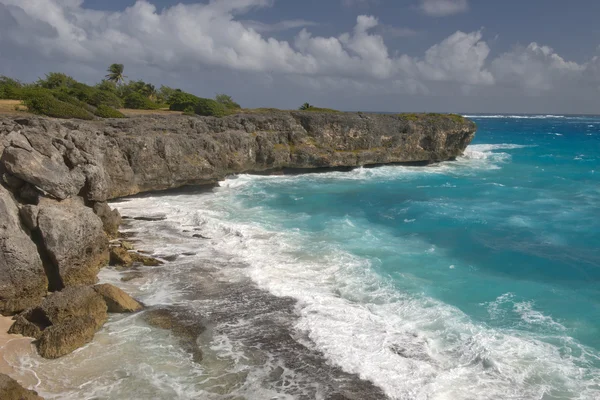 Côte de l'île de Barbade, Caraïbes — Photo