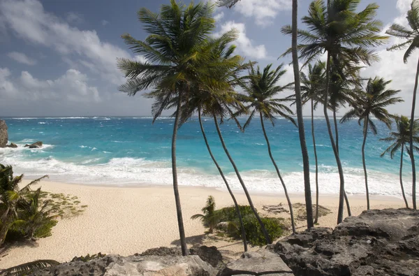 Spiaggia dell'isola di Barbados, Caraibi — Foto Stock