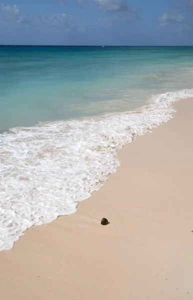 Playa de Barbados, Caribe — Foto de Stock