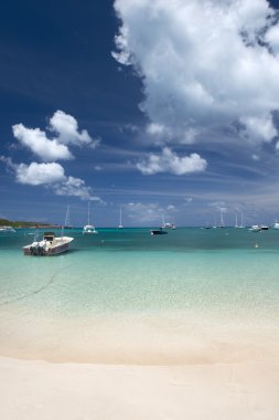 Anguilla Adası, Karayipler