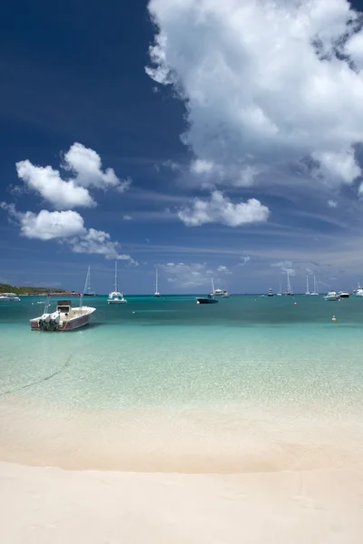 Anguilla Adası, Karayipler — Stok fotoğraf