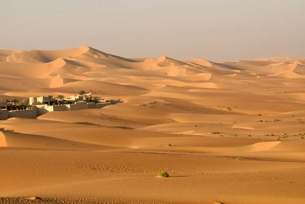 Abu Dhabi desert — Stock Photo, Image