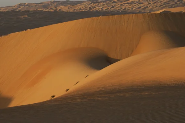 アブダビの砂漠 — ストック写真