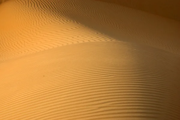 Abu Dhabi Deserto — Foto Stock