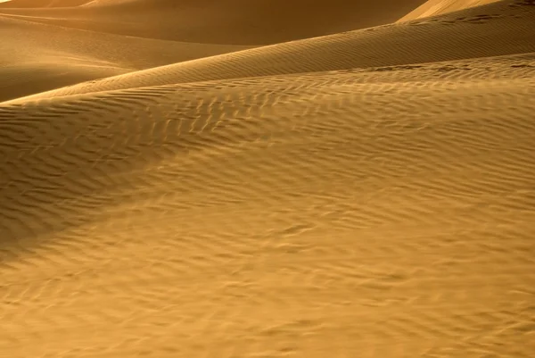 Deserto de Abu Dhabi — Fotografia de Stock