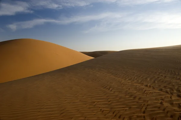 Abu dhabi woestijn — Stockfoto