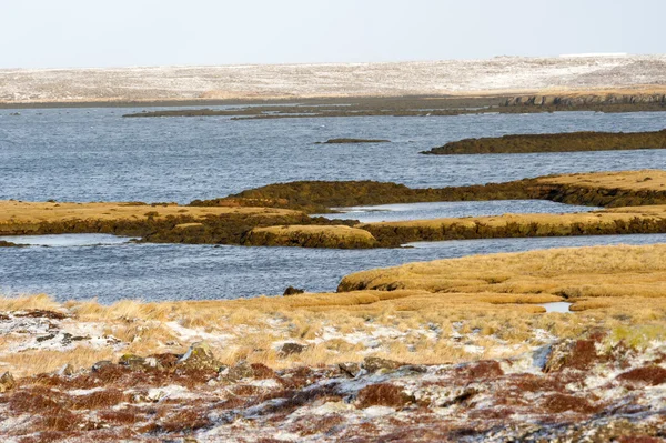 IJslandse landschap — Stockfoto