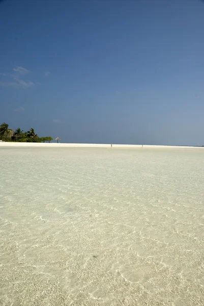 Isla de Maldivas — Foto de Stock