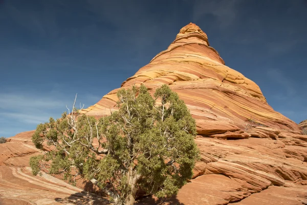 Paria kaňonu, ohnivý útesy, Arizona — Stock fotografie