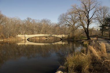 Central Park, New York Şehri