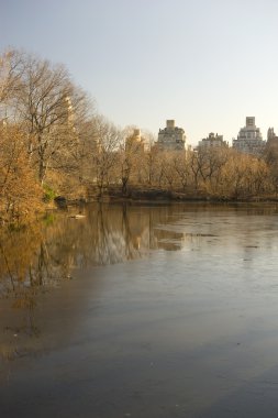Central Park, New York Şehri