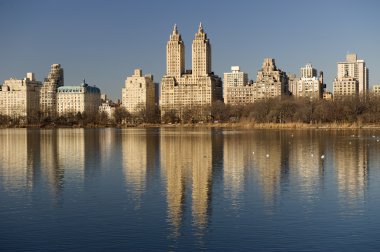 Central Park, New York Şehri