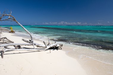 Anguilla Adası