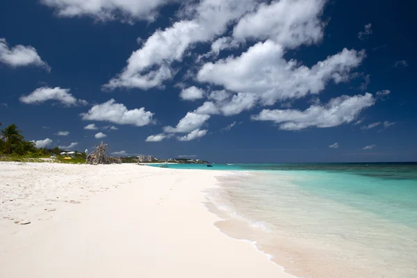 Ilha de anguila — Fotografia de Stock