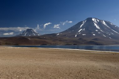 Laguna Miscanti Atacama çöl yüksek Andes Mountains