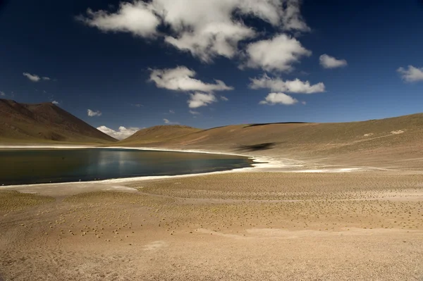 Лагуна Мисканти в высокогорье Анд в пустыне Атакама — стоковое фото
