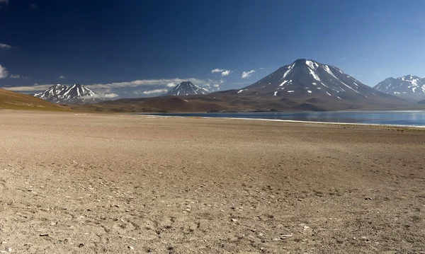 Лагуна Мисканти в высокогорье Анд в пустыне Атакама — стоковое фото