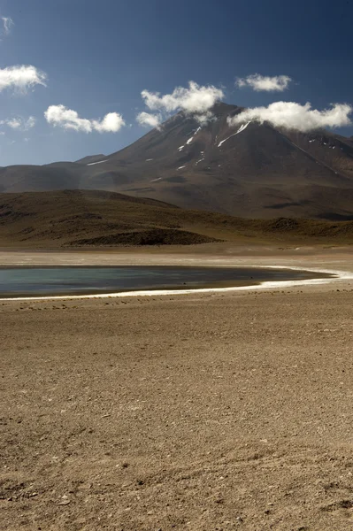 Лагуна Miscanti у високих горах Андах в пустелі Атакама кол — стокове фото